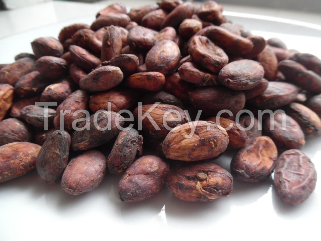 FERMENTED FINE COCOA BEANS (Criollo)