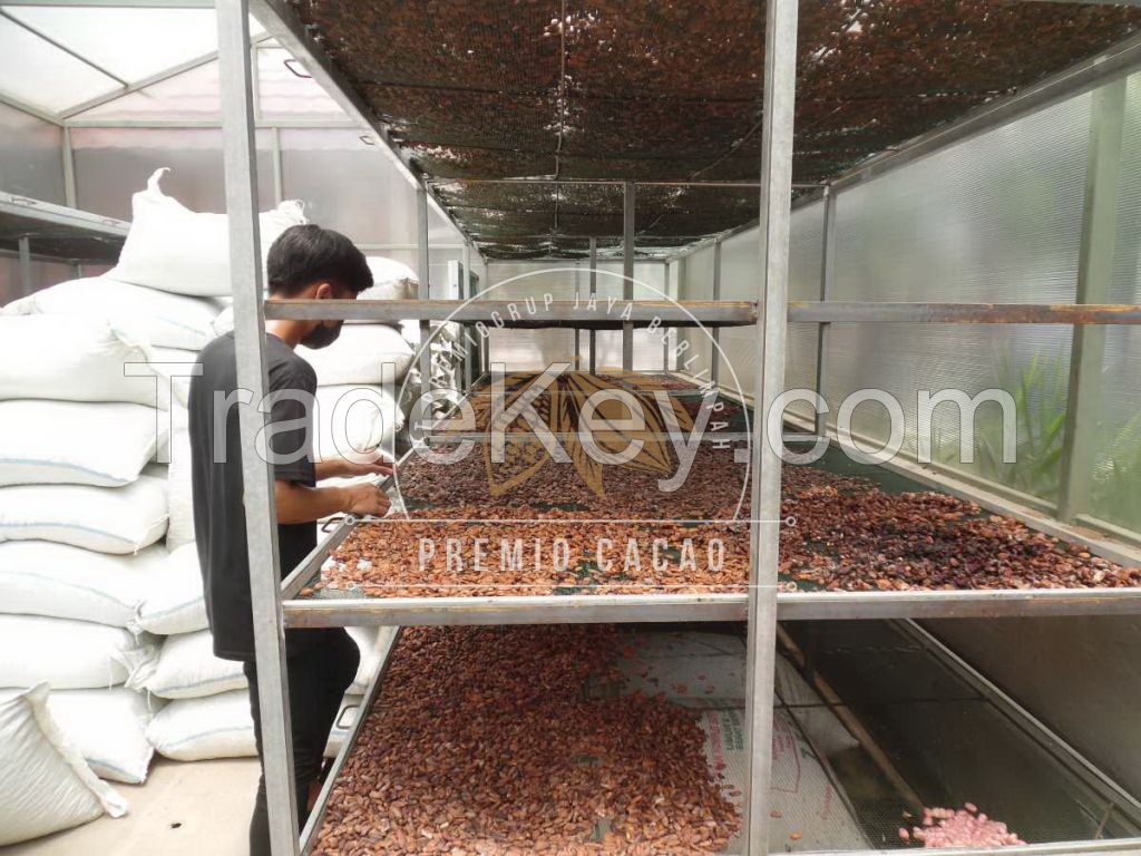 Premium Grade BULK COCOA BEANS (Forastero)