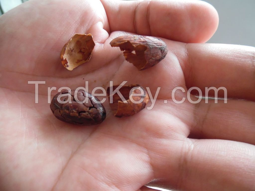 FERMENTED FINE COCOA BEANS (Criollo)