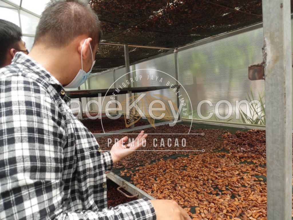 Premium Grade BULK COCOA BEANS (Forastero)