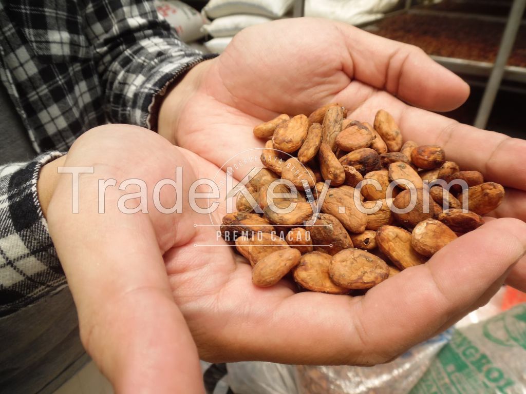 Premium Grade BULK COCOA BEANS (Forastero)