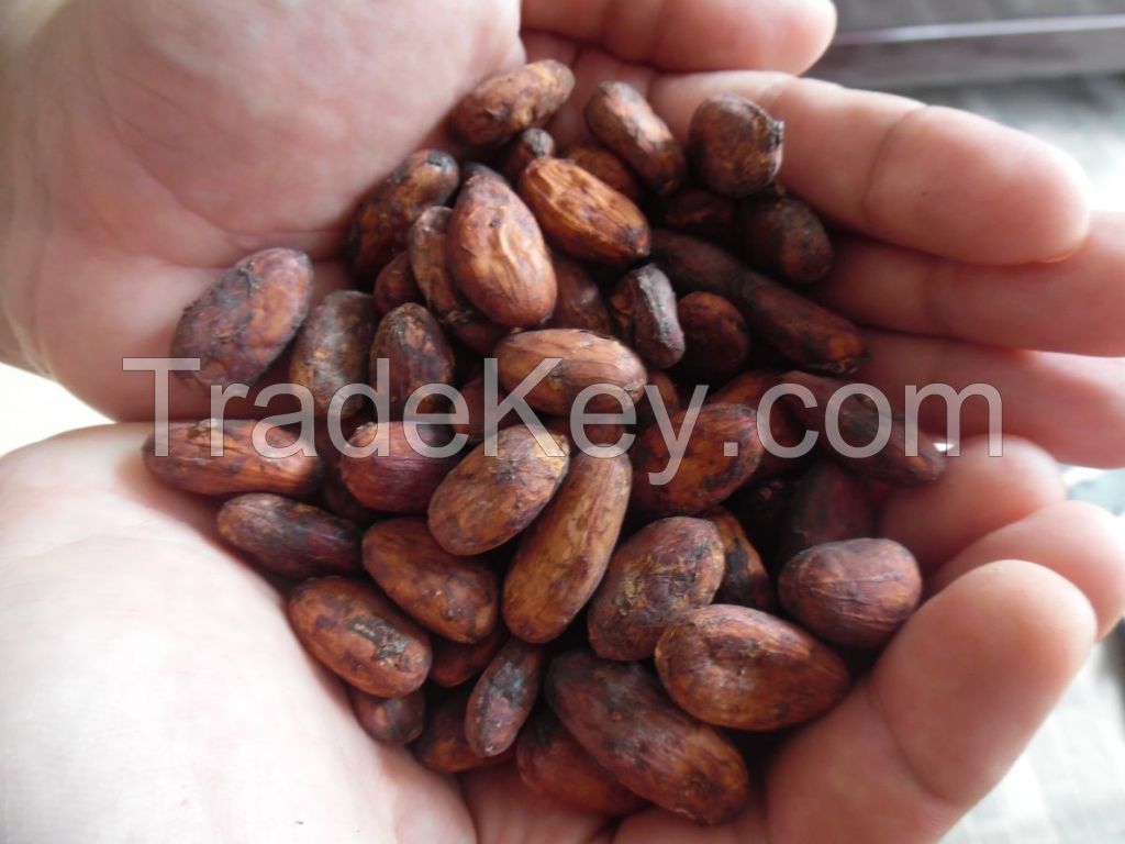 FERMENTED FINE COCOA BEANS (Criollo)