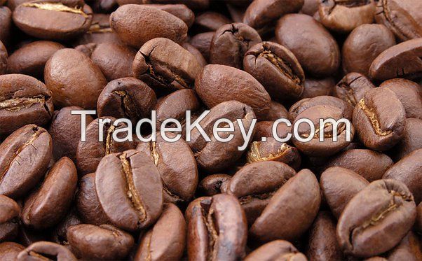 Robusta Coffee beans