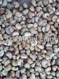 Processed Cashew Nuts