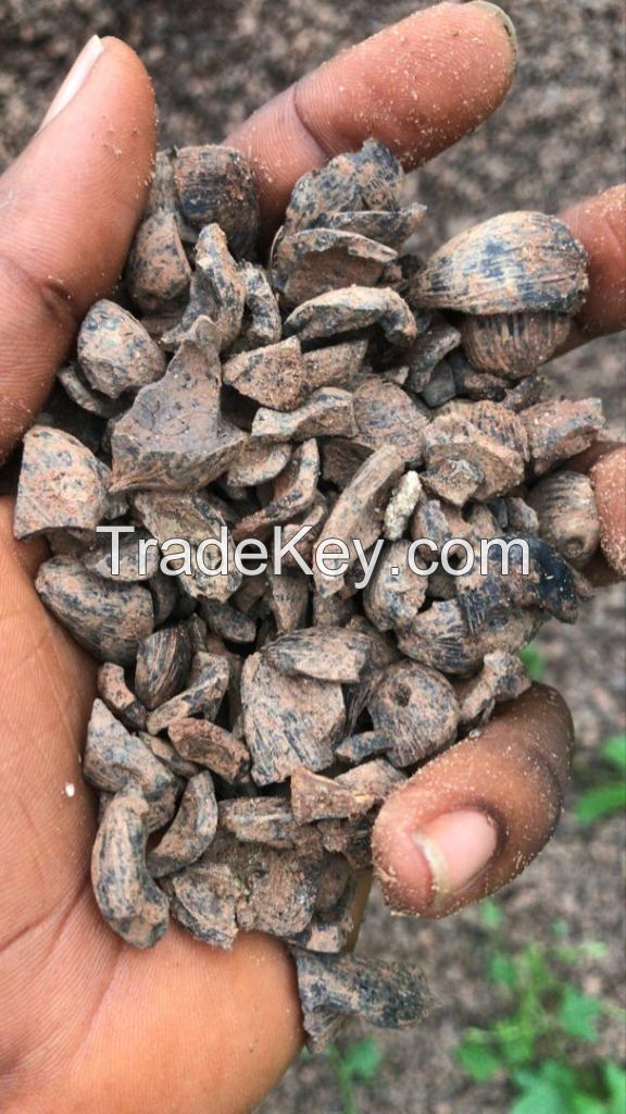 PALM KERNEL EXPELLER, PKE, PALM OIL, PALM KERNEL OIL