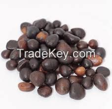 PALM KERNEL EXPELLER, PKE, PALM OIL, PALM KERNEL OIL