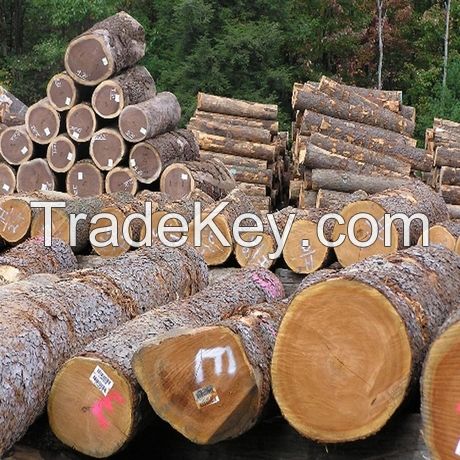 timber logs,