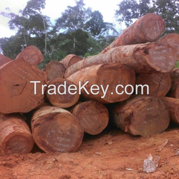 logs wood timber