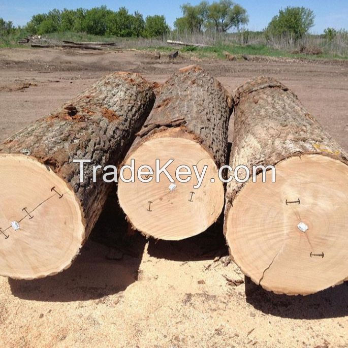logs wood timber