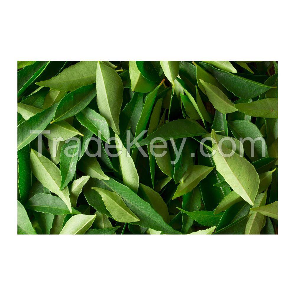 100% Best Quality Dried Curry Leaves at Market Price