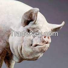 Middle White Pig for sale, livestock for sale online