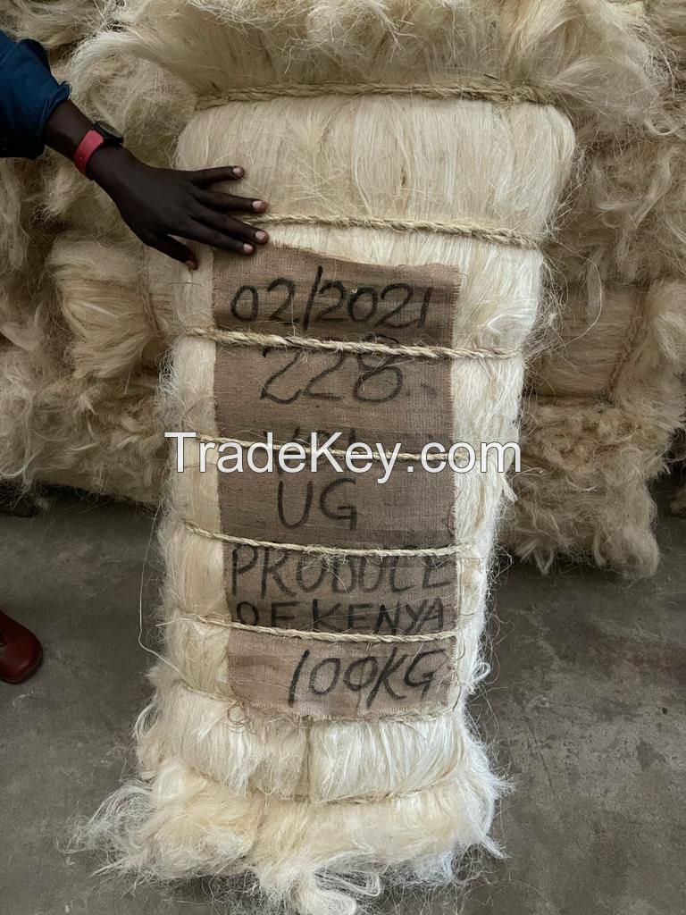   SISAL FIBER