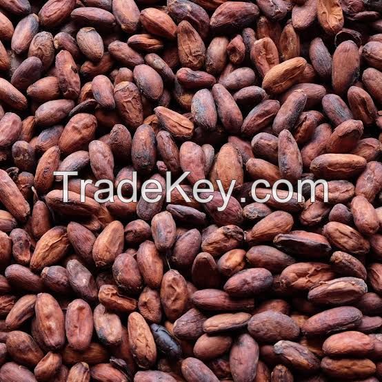 Cocoa beans