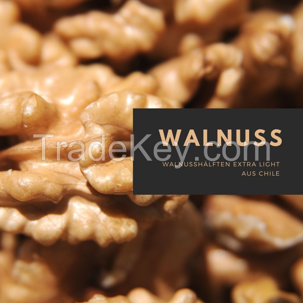 Nuts and Dried Fruits