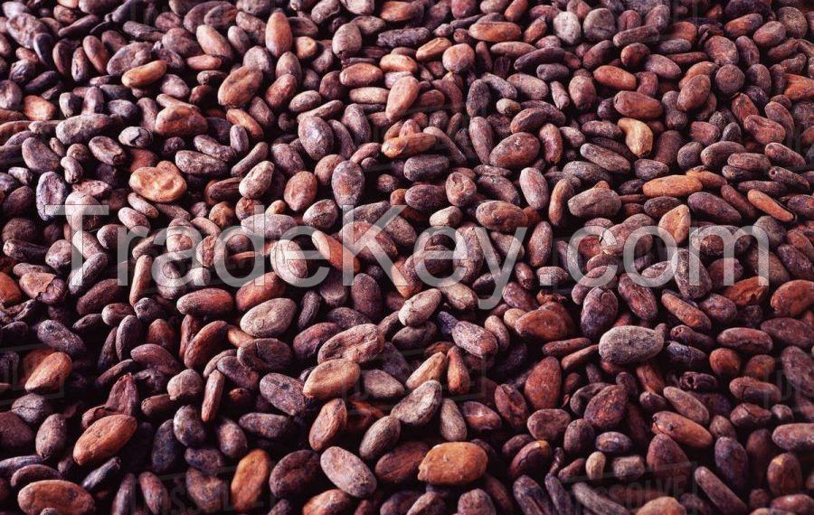 Cocoa Beans, Cashew Nuts