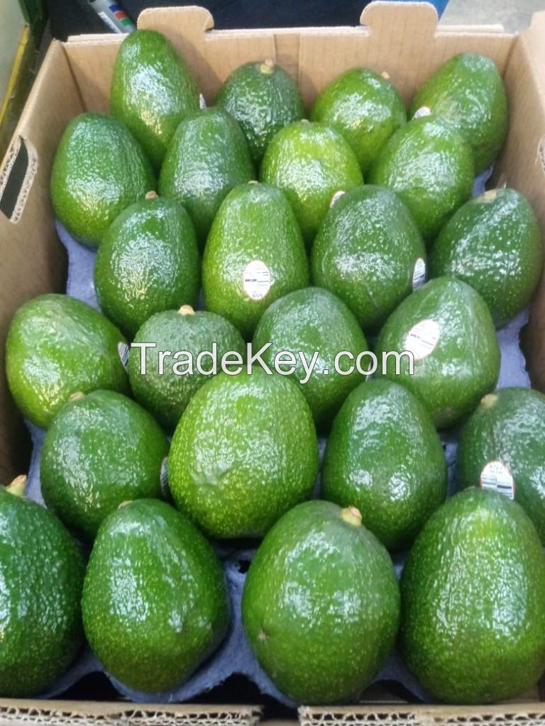  Fresh Avocados