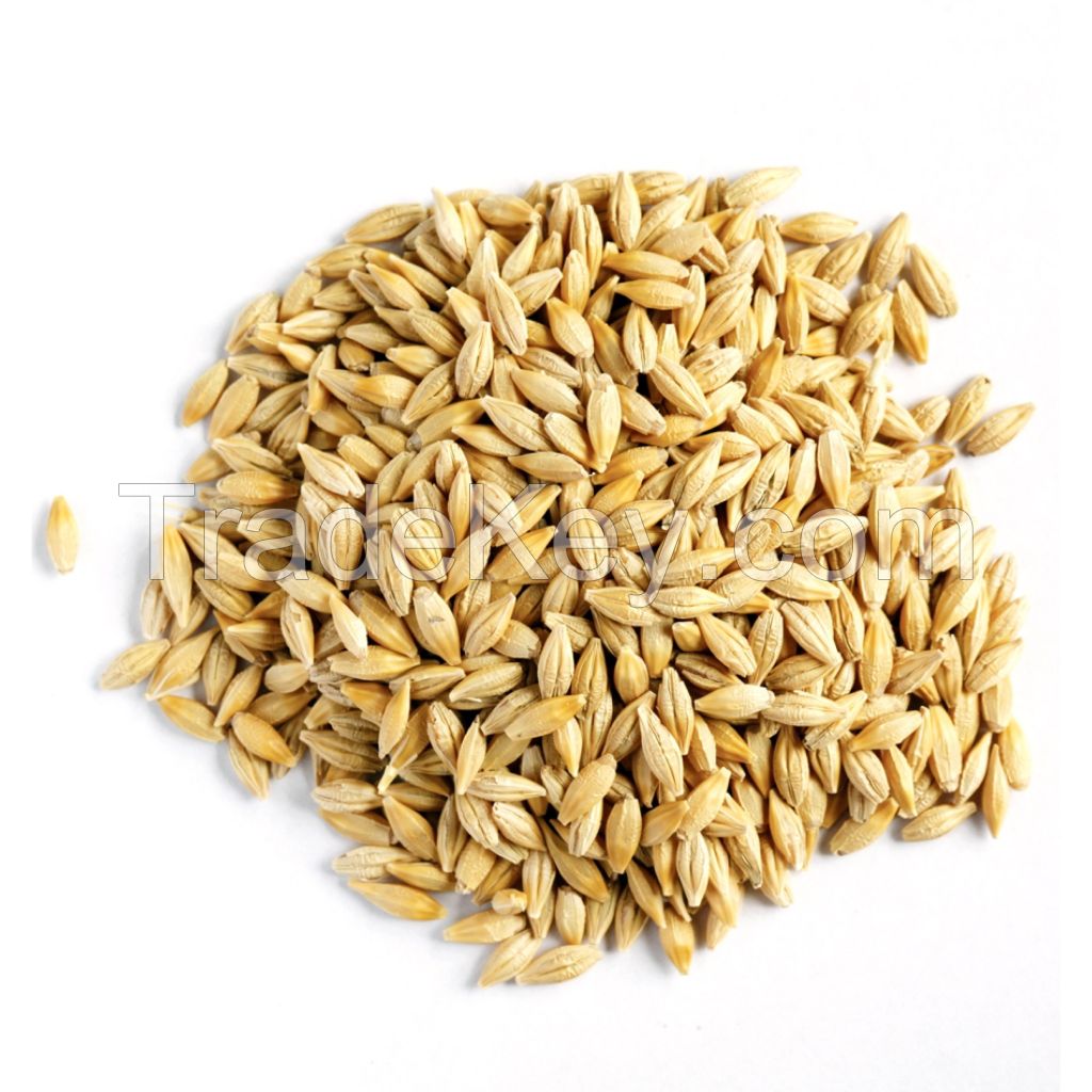 Barley