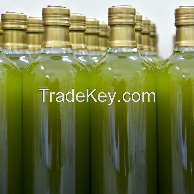 Organic Olive Oil 