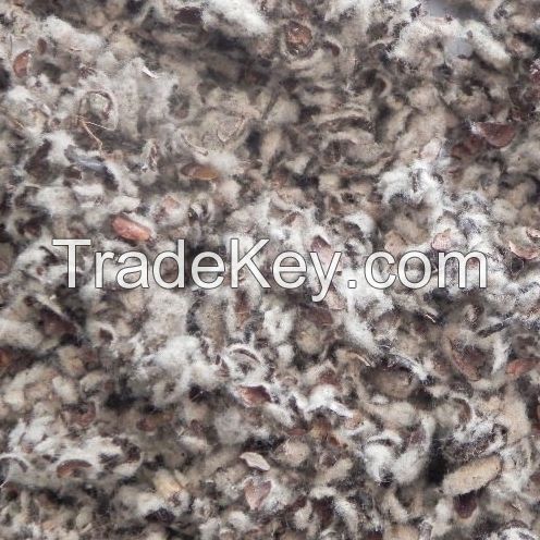 Cotton Seeds 