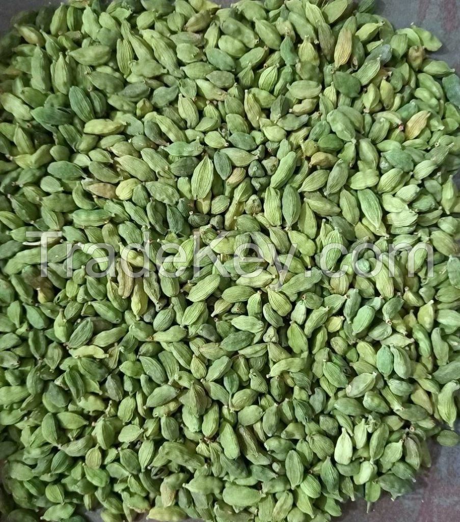 Green Cardamom