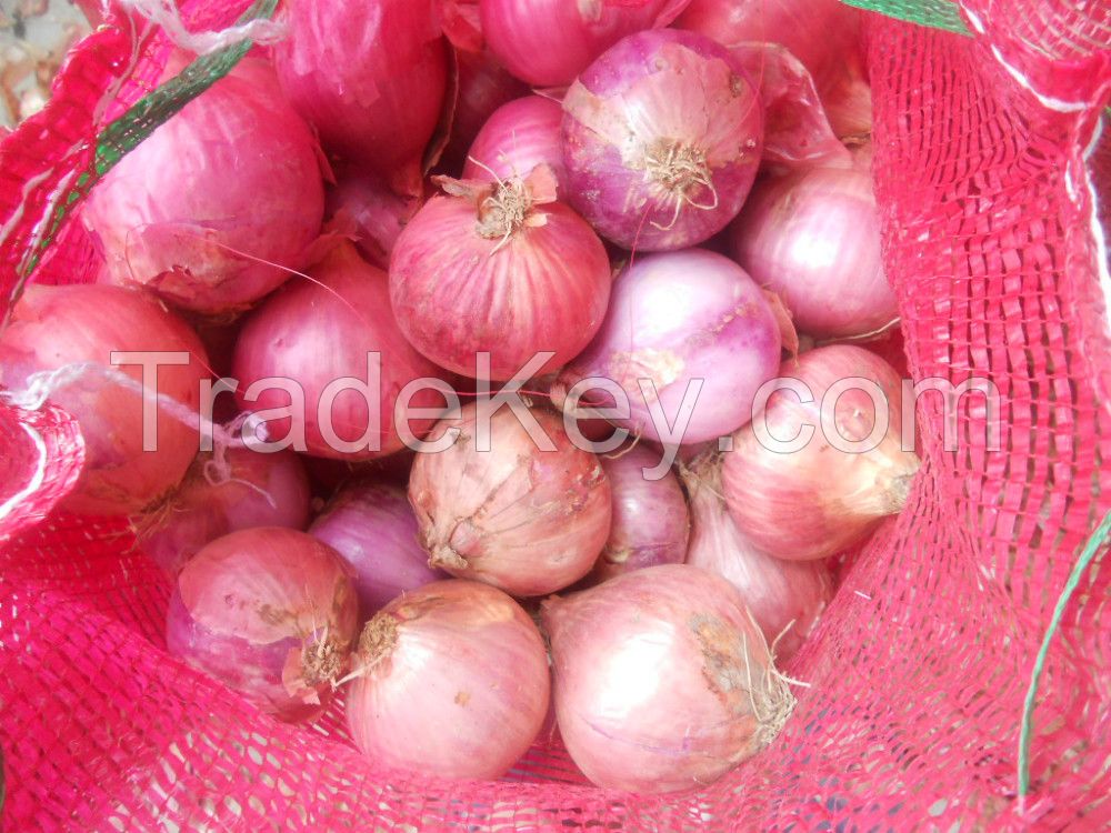 Fresh Onions