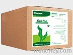 Quality and Sell Seaweed Extract