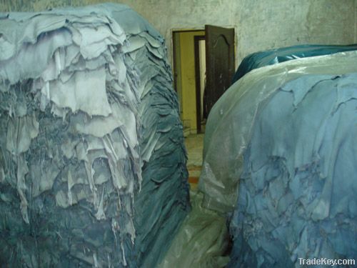 Quality and Sell wet blue cattle hides