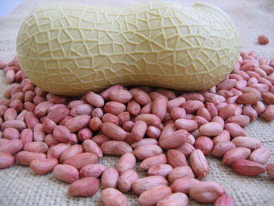 Quality and Sell groundnut kernels,New crop blanched groundnut kernels,Long Type groundnut kernel