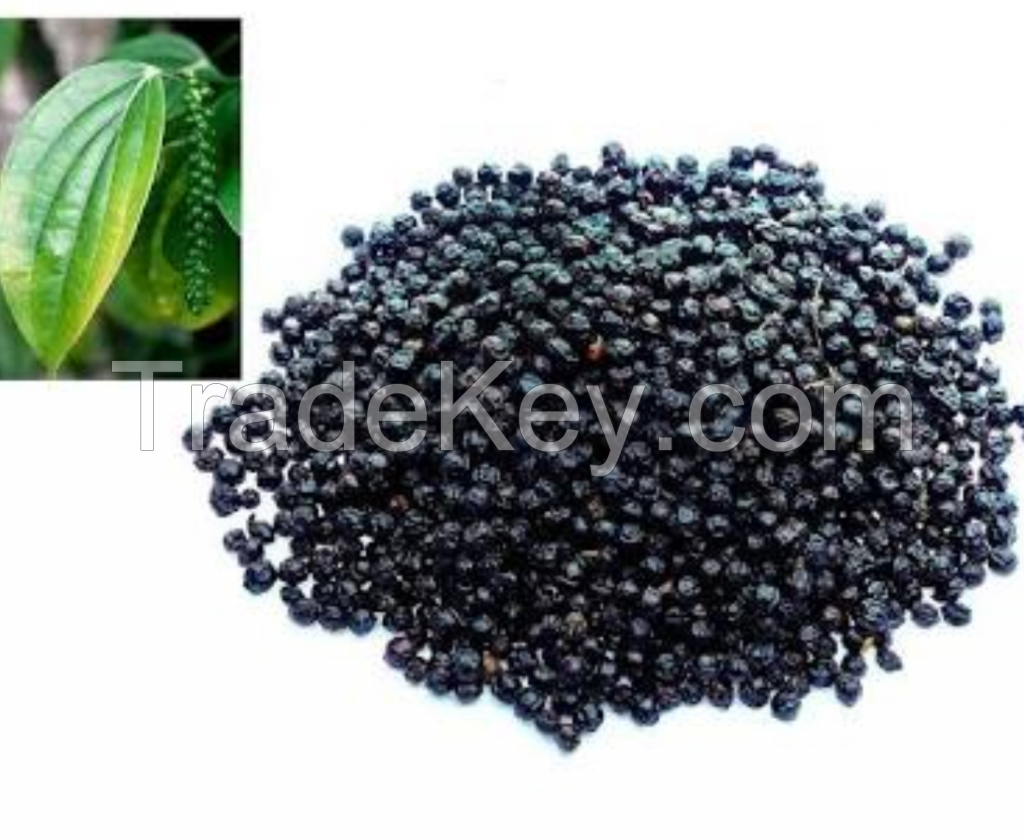 Quality and Sell Black Pepper, Cardamom, Cinnamon, Chilly, Nut Meg,  