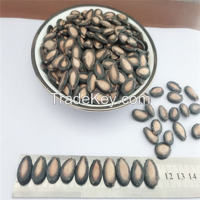 Quality and Sell Dried Water Melon Seeds For Sale