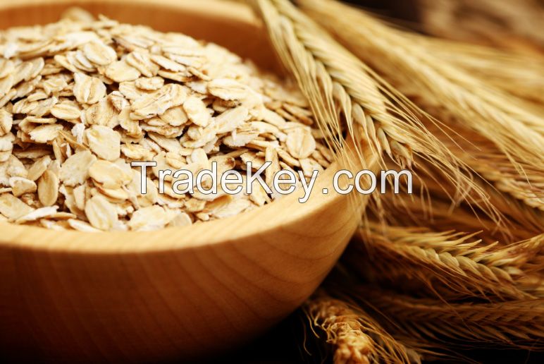 Quality and Sell Rolled Oats ,Oats Flakes, Oats Flour Hulled Oats