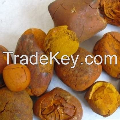 Quality and Sell  Grade A Ox Gallstones / Cattle Gallstones / Cow Gallstones 