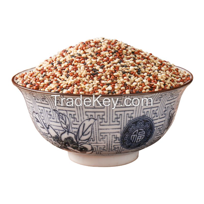 Quality and Sell Origin direct high-quality mixed three-color quinoa