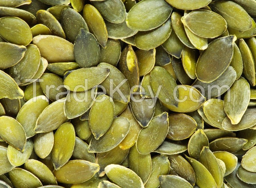 Quality and Sell Cheap price human consumption AA grade shine skin pumpkin kernels for sale