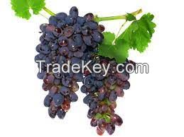Quality and Sell Cane Grapes fruits segments