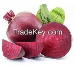 Quality And Sell Fresh Beetroots