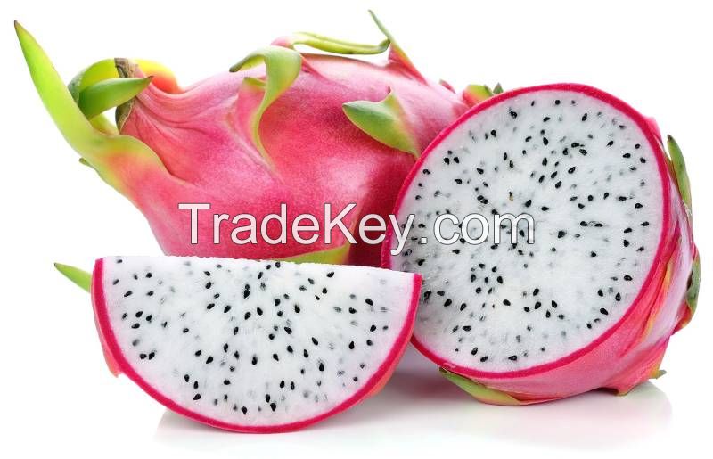 Fresh Dragon Fruit From Vietnam- 100% Natural Sweet with High Quality (HuuNghi Fruit)