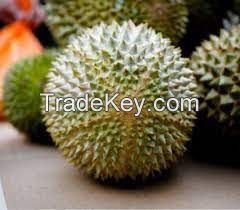 Fresh Musang King Durian From Vietnam-Best Selling Product and High Quality (HuuNghi Fruit)