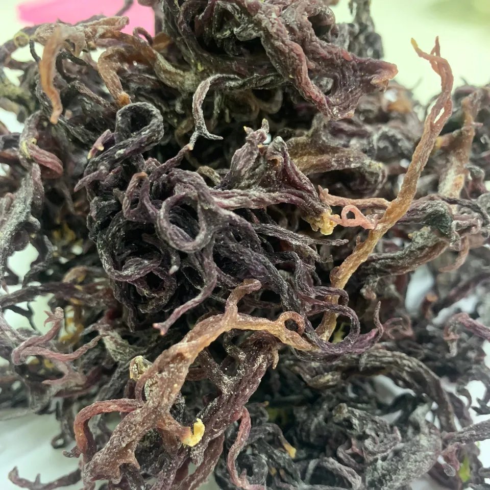 Purple Seaweed Has Many Special Uses. 100% Natural Products Directly Exploited In Vietnamese Beaches-