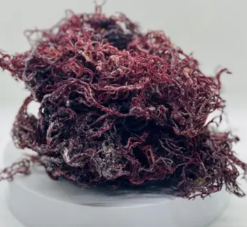 Purple Seaweed Has Many Special Uses. 100% Natural Products Directly Exploited In Vietnamese Beaches-