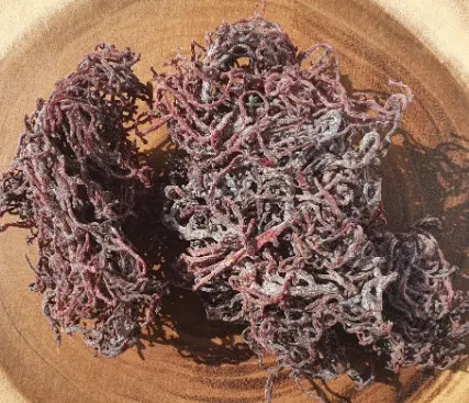 Purple Seaweed Has Many Special Uses. 100% Natural Products Directly Exploited In Vietnamese Beaches-