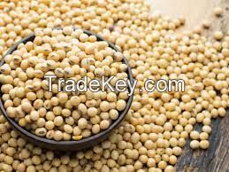 soybeans