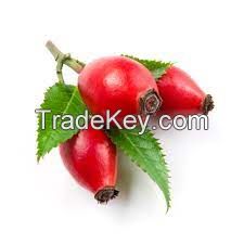 Pure Plant Extract Cosmetic Rosehip Essential