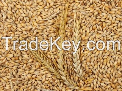 Barley, Buckwheat, Corn, Dried Grain Products, Millet