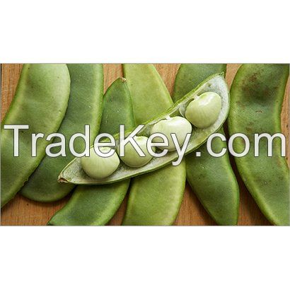 Lima beans, mung beans, peas, Preserved Beans, Robusta Coffe Beans