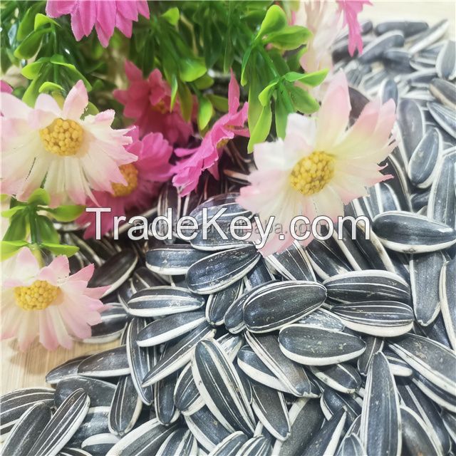 Sunflower Seeds 361