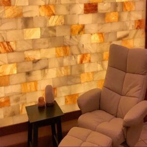 Himalayan Salt Tiles