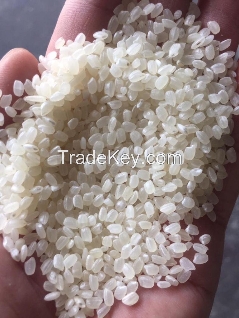 Importing JAPONICA ROUND RICE with the most competitive rice from Vietnamese manufacturer