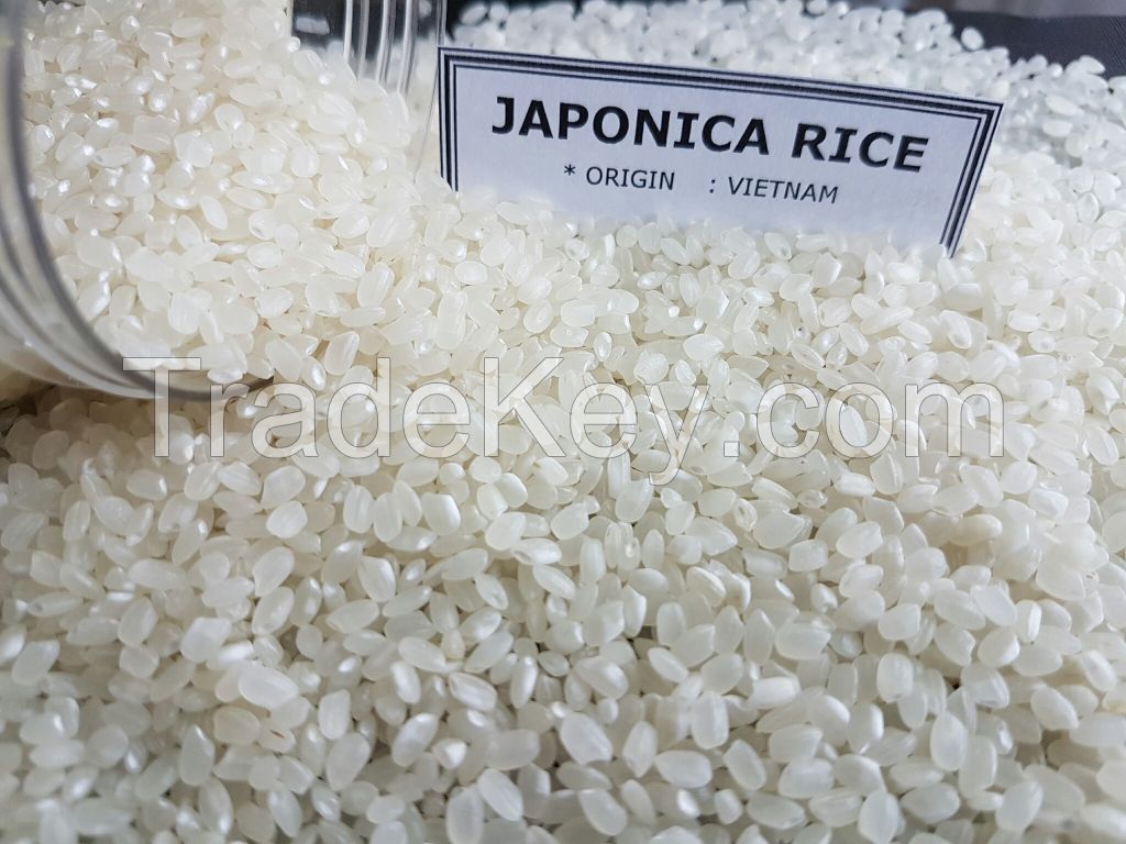 Importing JAPONICA ROUND RICE with the most competitive rice from Vietnamese manufacturer