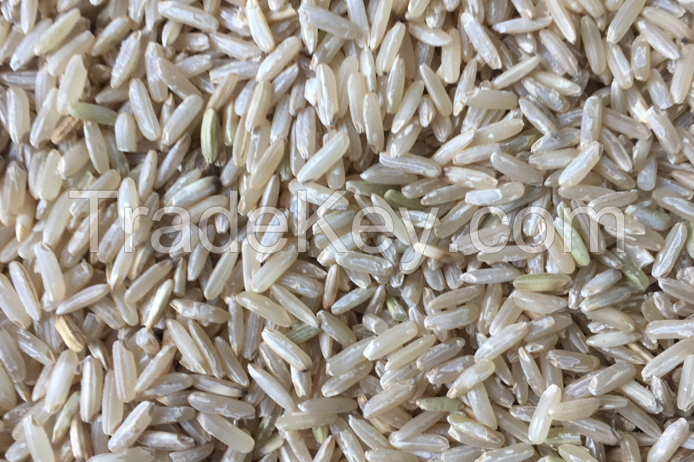 High quality BROWN RICE with the most competitive rice from Vietnamese manufacturer